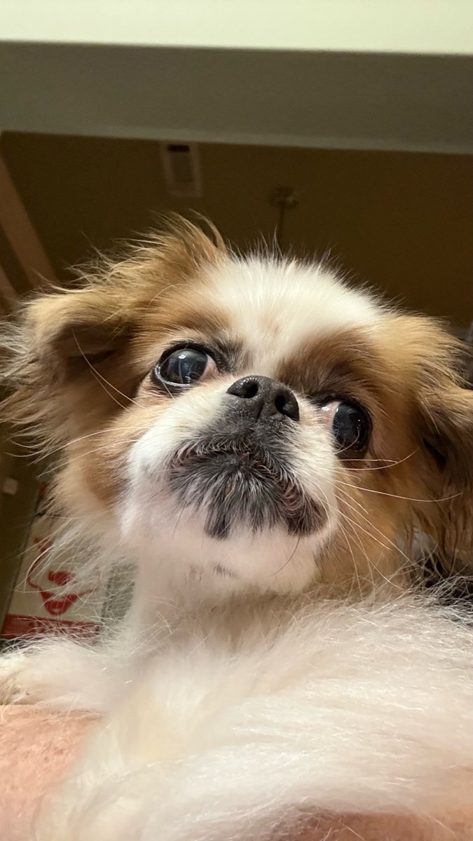 Boogie2988 tweet media