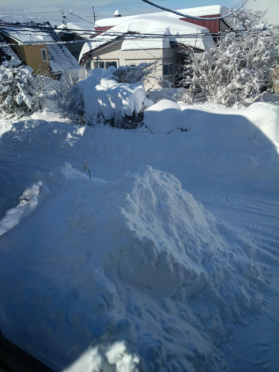 LLforLiberty's tweet image. 生まれてこの方一番の大雪。学校休みになって神