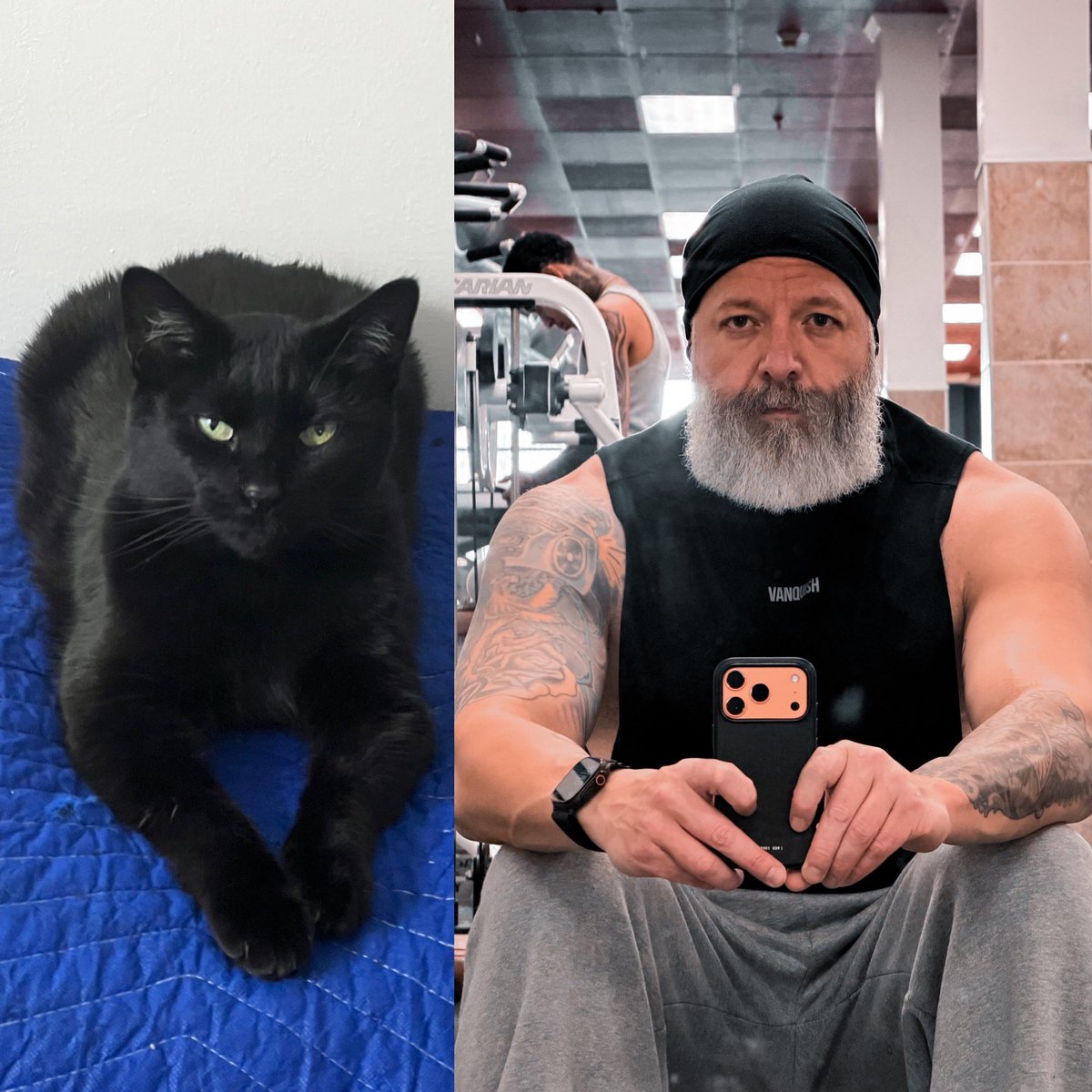 Brian Phillips tweet media