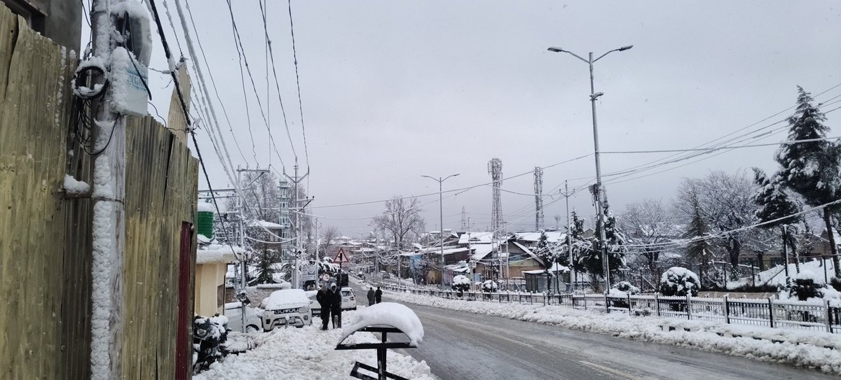 Araids Travel Trips tweet media