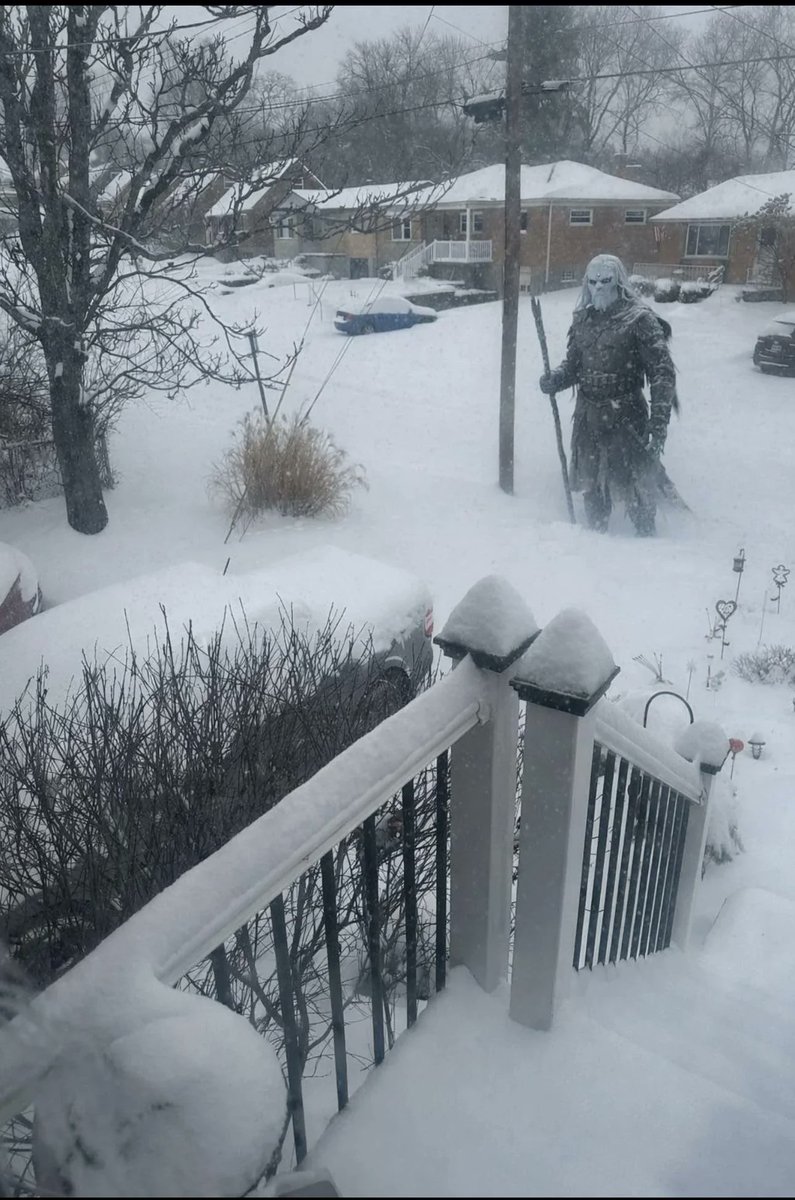 ThronesUpdates's tweet photo. Scenes coming out of Memphis right now ❄️ https://t.co/UUm70L1g6q