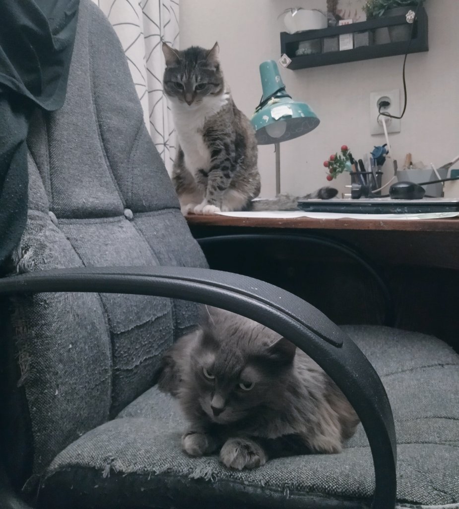 Meri__T's tweet image. Она у меня за спиной, да? 😱