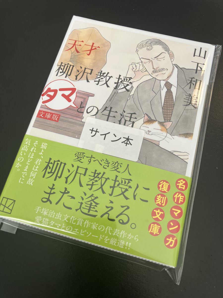ほしの女王様 イラストサイン本 絵本「ほしのおうじさま」に出逢って｜hoho