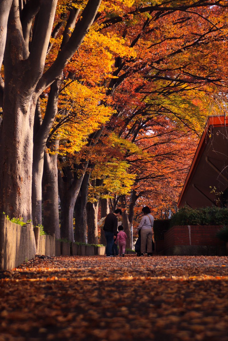 個人的に好きな写真なんだけど
もう少し画角を広く取りたかったなと思ってボツになったものです