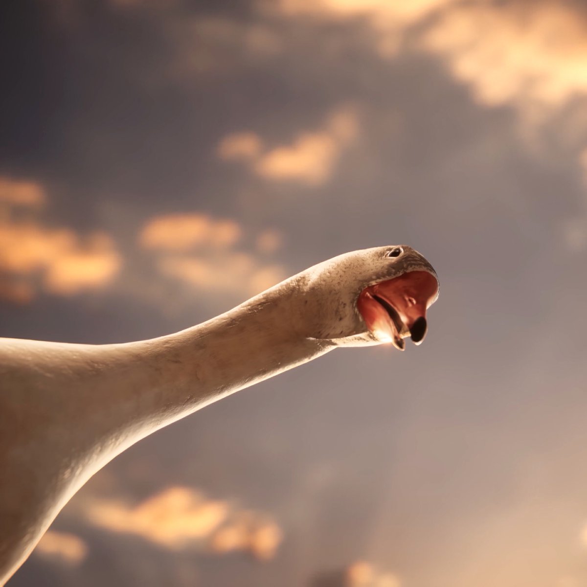 HONK… What's up?
Shhh—I know you folks miss me.
Devs asleep.
Like &amp; Comment. Rewards dropping for loyal wanderers.
Not a Nine Mortal Ways scam.