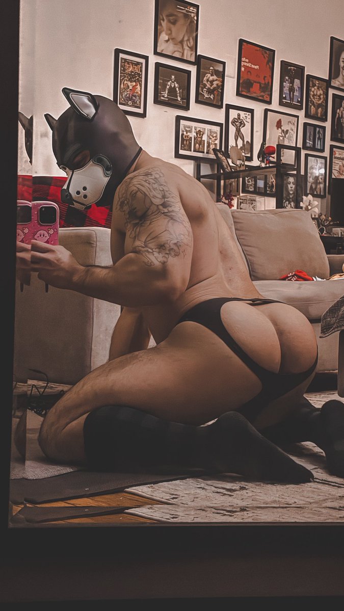 Pup Amuraa tweet media