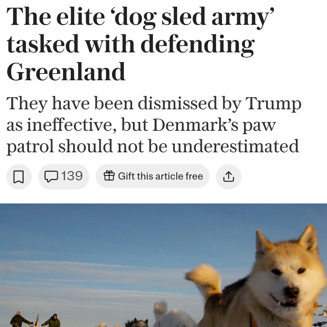 Given the USA's military record since 1945, I wouldn't sleep on the dogs.