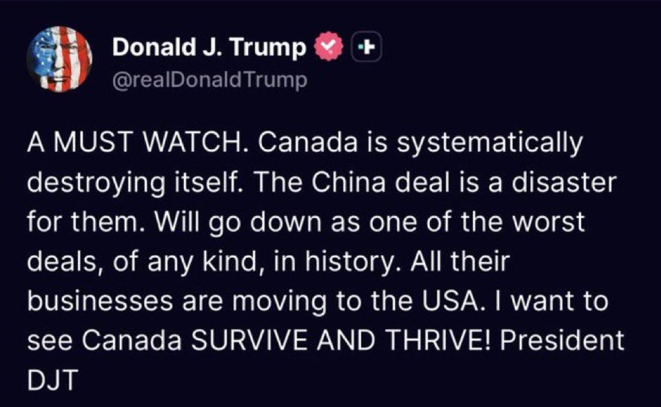 Laura Babcock 🇨🇦 tweet media