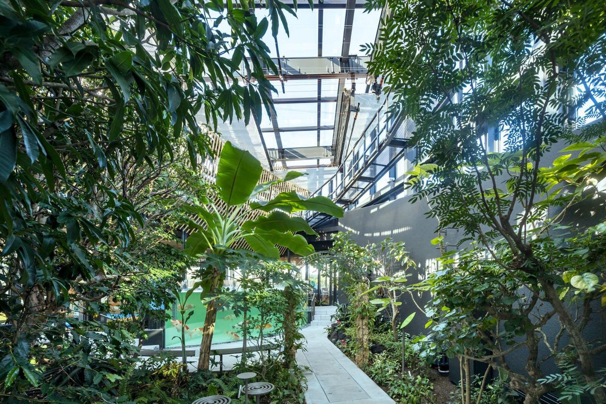 Spoon & Tamago tweet media