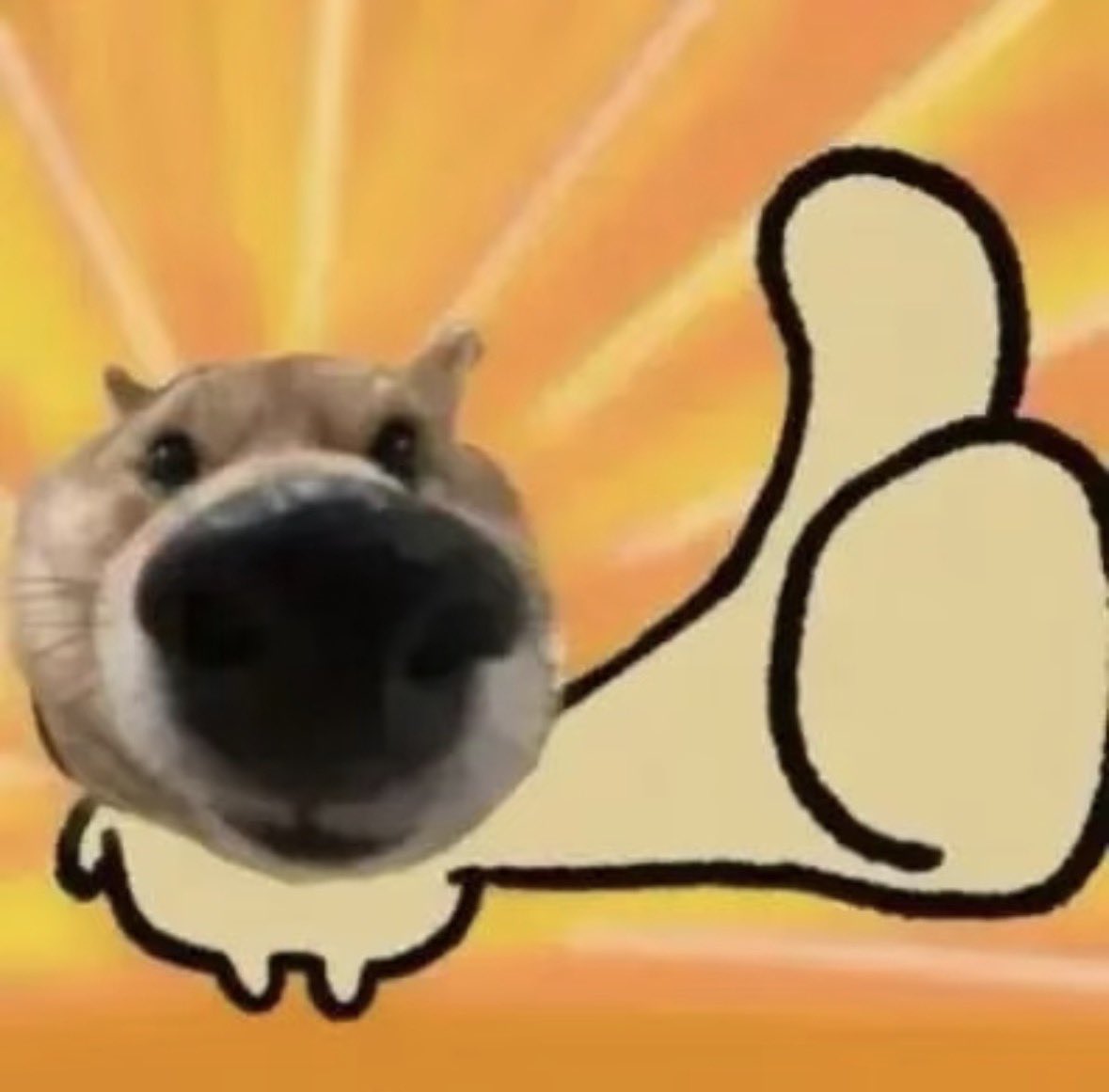 rtsky7 太牛了哥，你是这个