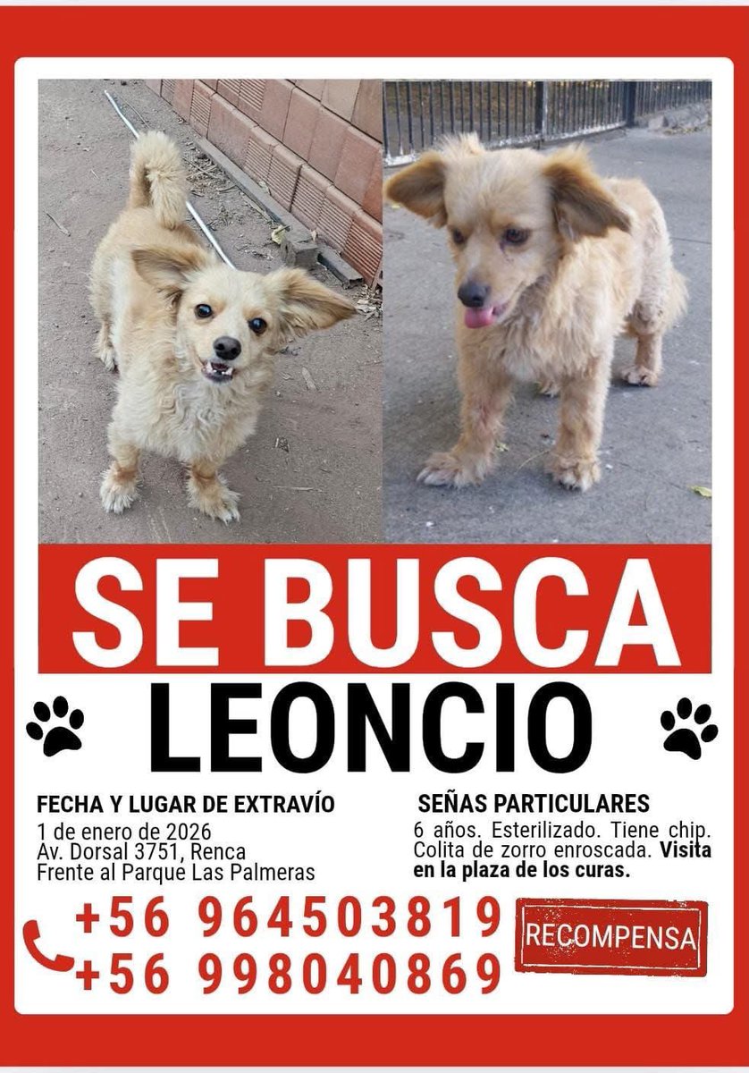 Eve Torres 🇨🇱 (@evelyn_torres_h) on Twitter photo 