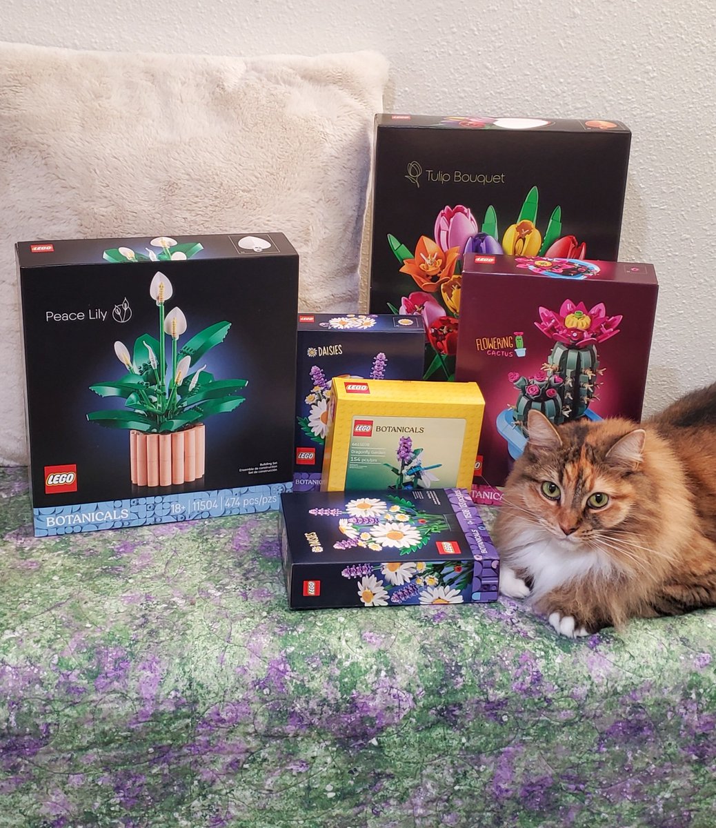 harmoniegreeen's tweet photo. @DisTrackers This month's haul makes my lego botanicals collection complete... until they release more sets on Feb 1 😄 https://t.co/Es2noojbYX