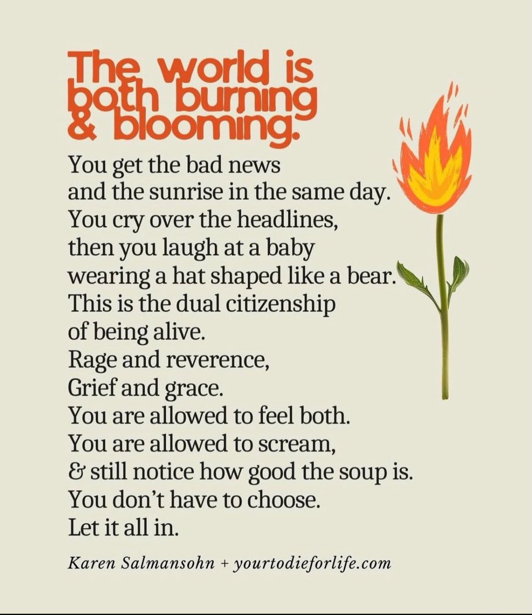 Things are hard right now, and it feels like too much. But there is still a lot to love and everything to fight for. Sending goose hugs as needed. 
🩷🪿