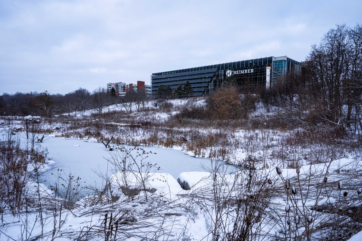 Humber Polytechnic tweet media