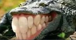 DudeKork tweet media