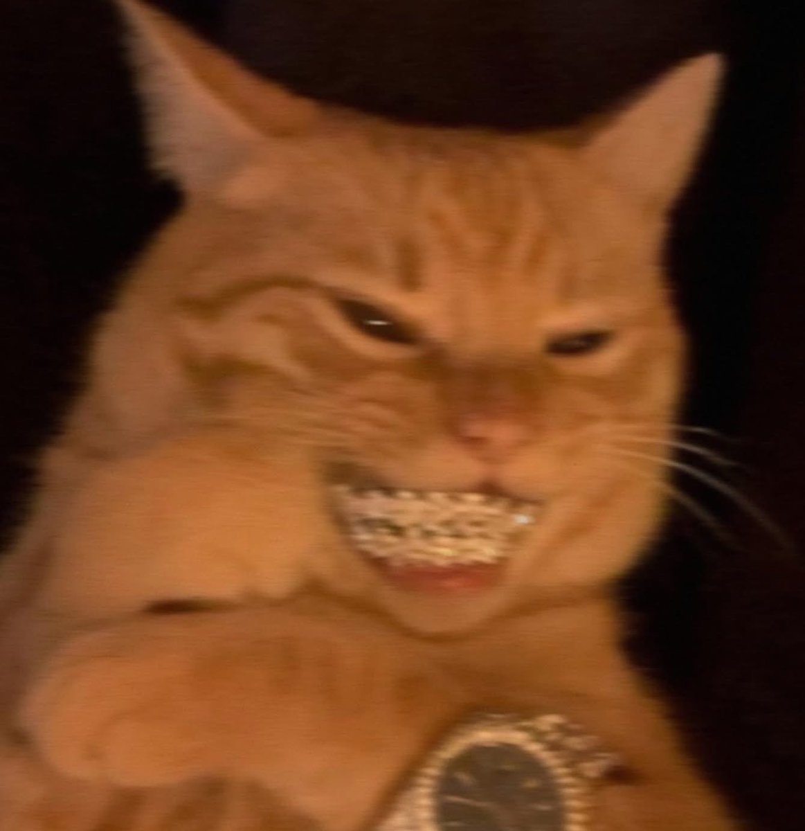 httpspedrooo's tweet image. se matheus está chorando eu estou sorrindo #BBB26