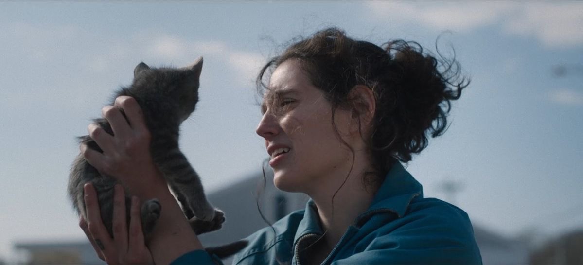 favorite films of 2025 that didn’t earn any oscar nominations