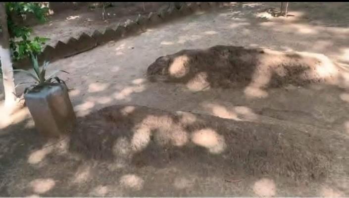 Maulana Sami Ullah JUI  tweet media