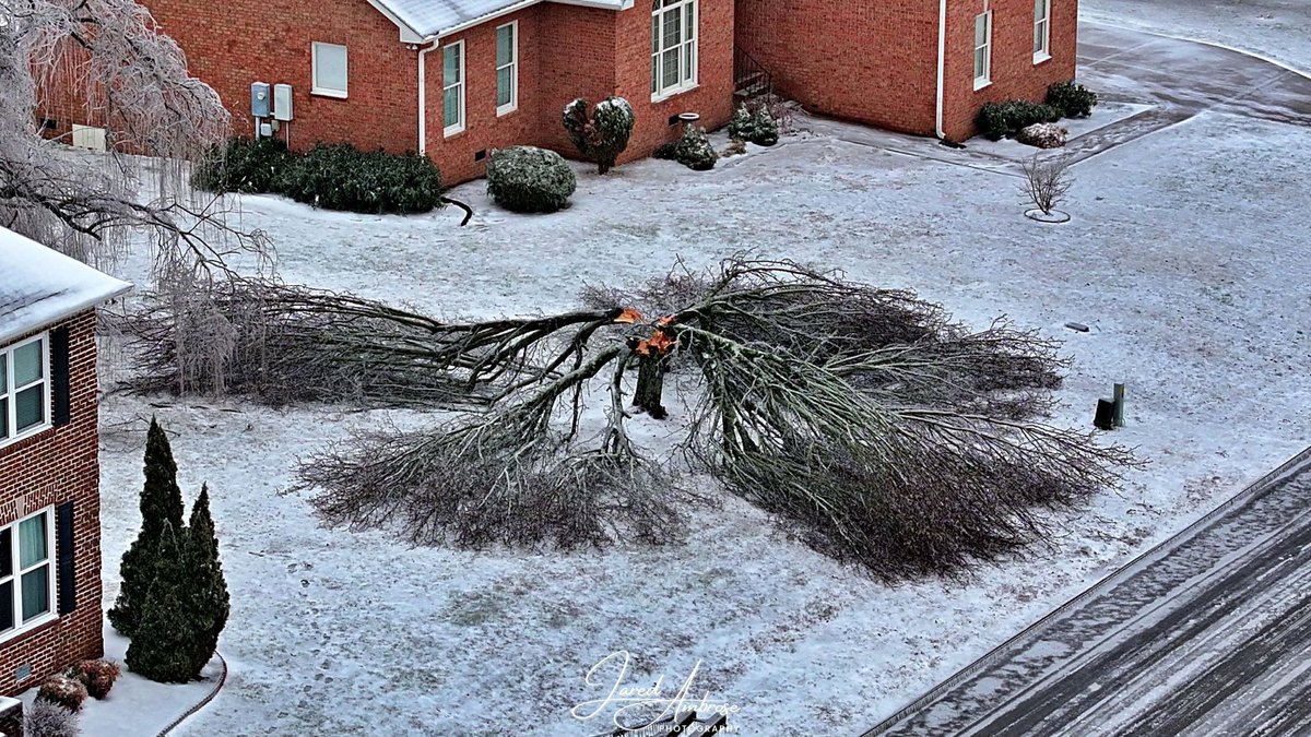 DanThomasWSMV's tweet image. ⁦⁦@JaredAmbrose⁩ dronework shows a perfectly quartered tree from today’s devastating #icestorm in #Hendersonville.

#Tennessee 

⁦@WSMV⁩ #FirstAlert