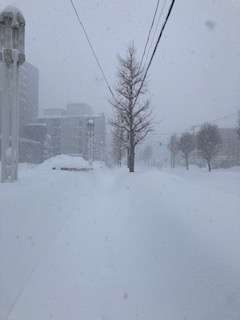 札幌へ移住した弊社ライターのゴメさんから昨日の大雪の写真届きましたよ〜📸🌨️す、、すごい😱
吹雪吹雪吹雪氷の〜世界～♪
昨日の札幌は記録的な大雪で、動けなくなった車を通りがかりの人が救助する場面も！ゴメさんも少しお手伝いしたそうです〜⛄️
