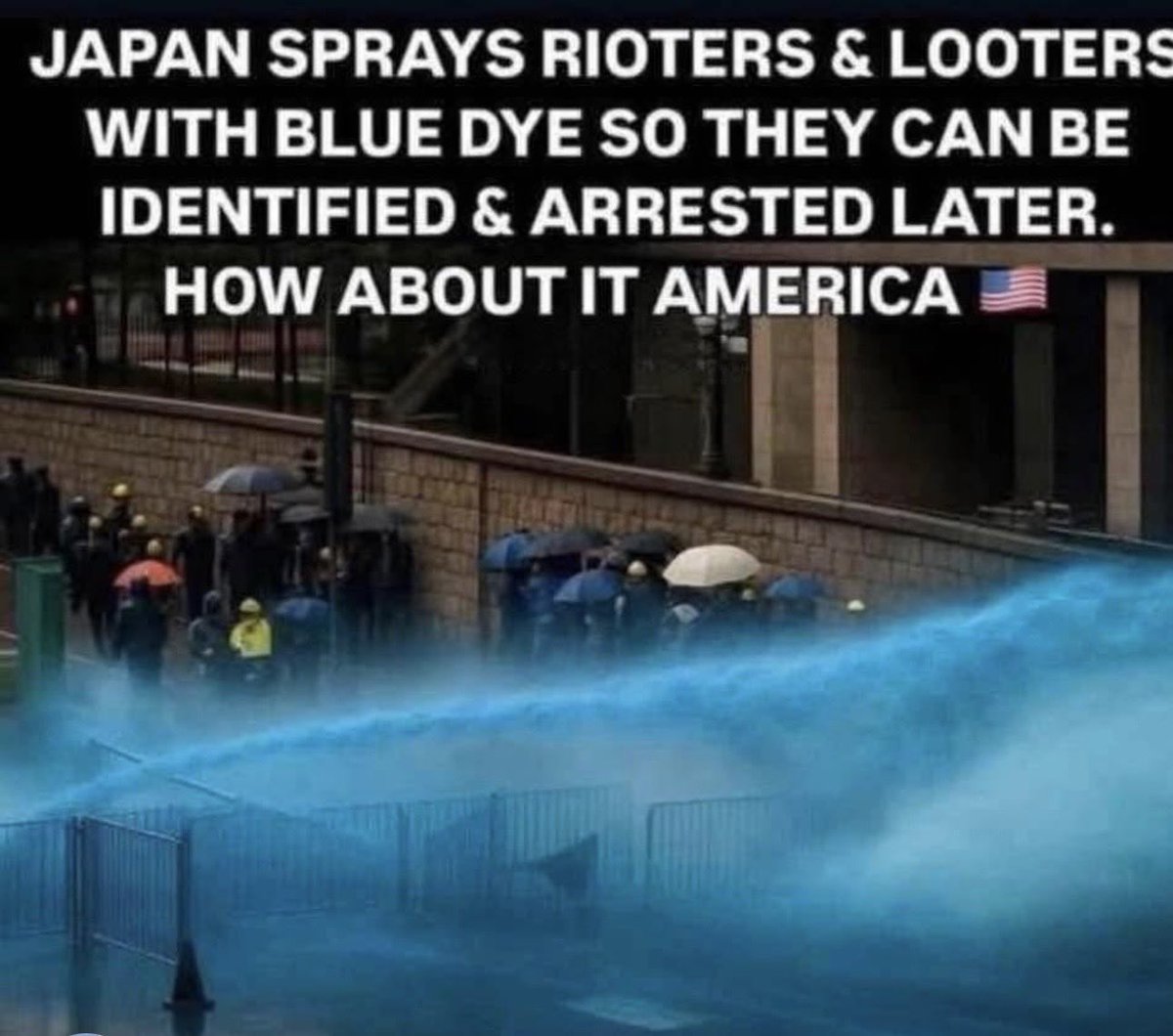 Sunkized01's tweet image. What we should be doing