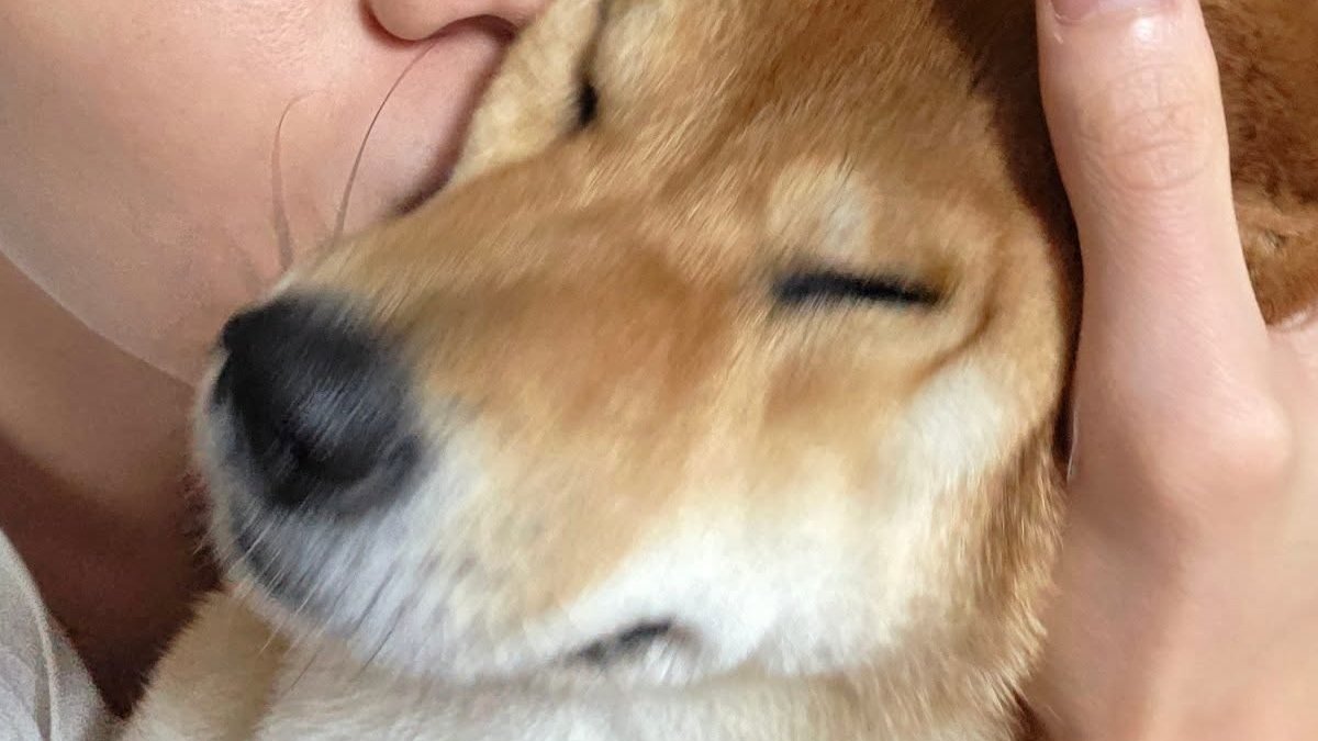 TXT__Alex's tweet image. &amp;gt;.&amp;lt;