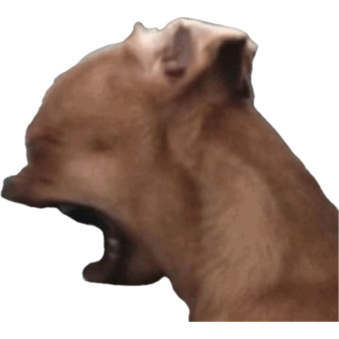 el deivid 🫂 tweet media