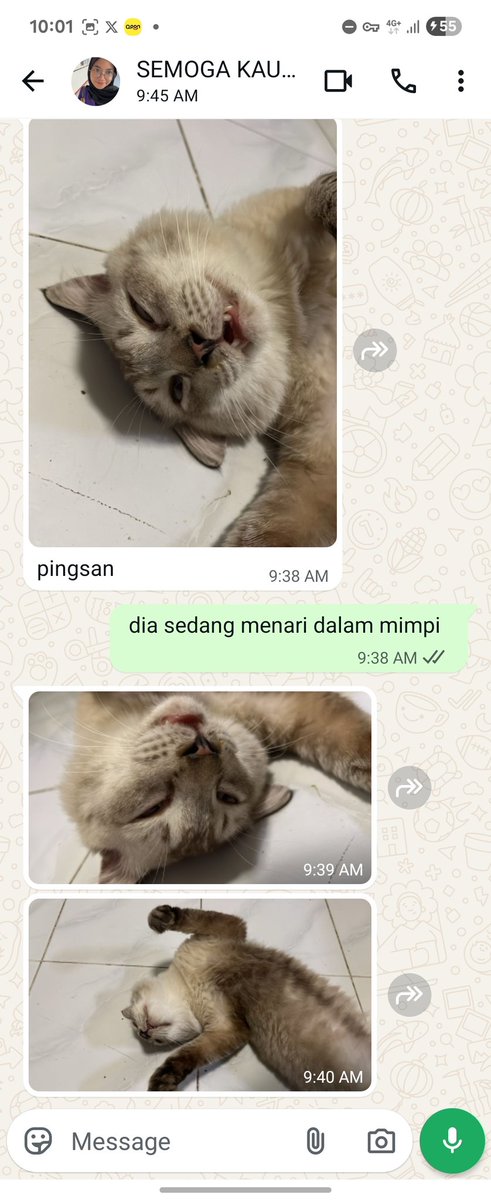 Day-1 LDR sama si absurd

2 mg lagi gantian aku yang spam dia soal para kitten reog karena mbabu 2 ke Jogja