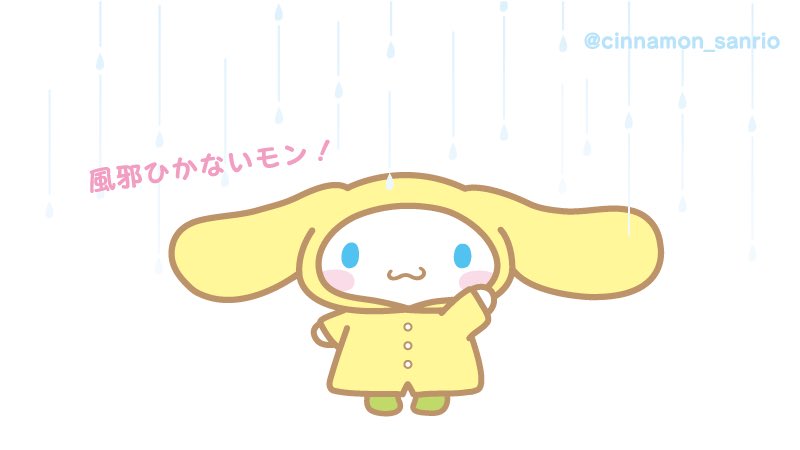 장하오 시나모롤 tweet media