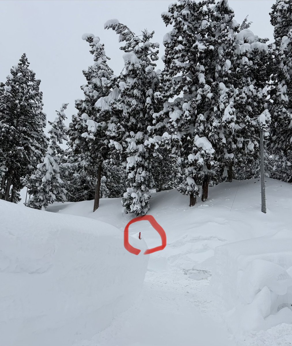 連日の大雪でポールが先しか見えない雪壁。2メールは優に超えている。