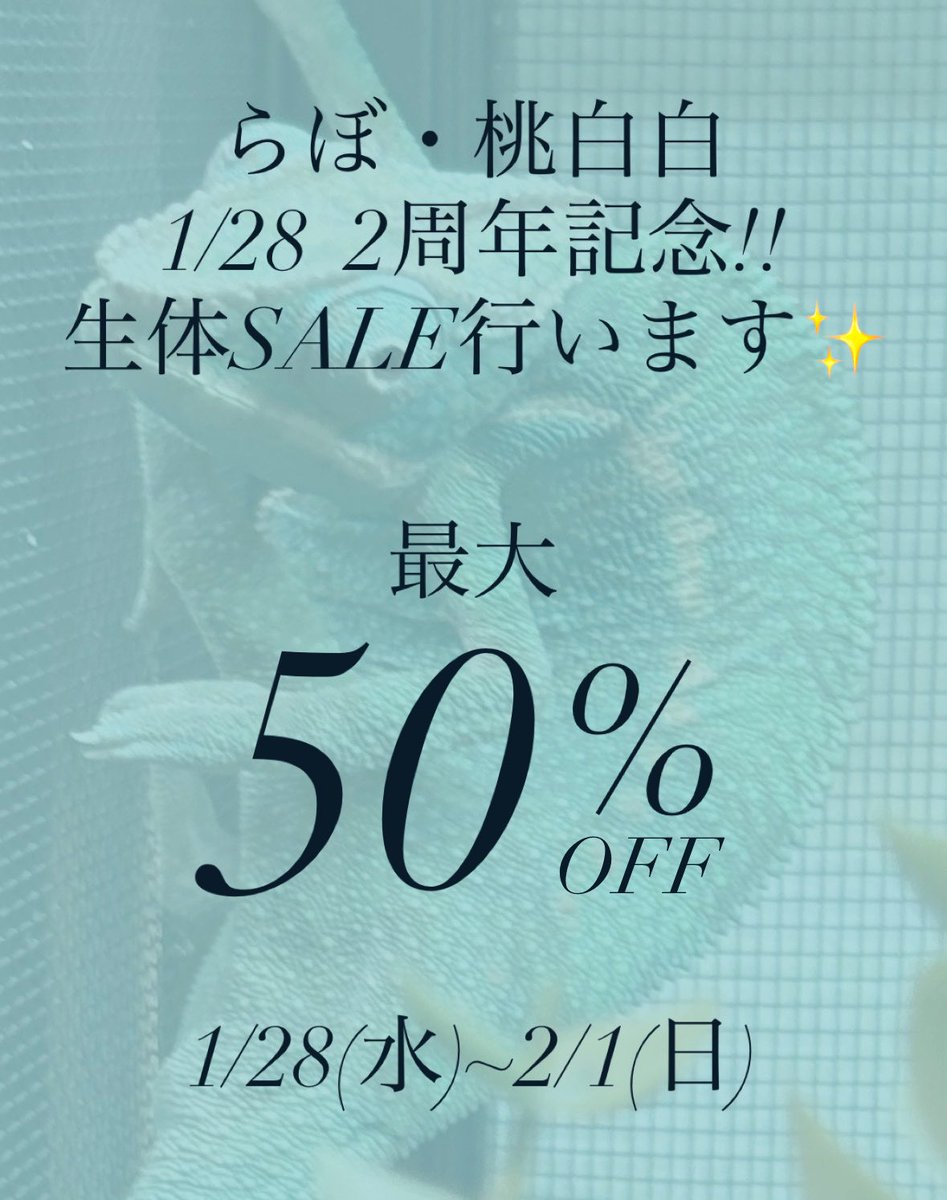 らぼ・桃白白🦎 tweet media