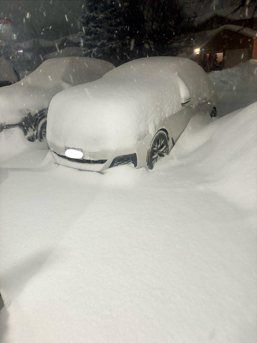 TLCogs's tweet image. So grateful for the flexibility to work from home…this stuff is not slowing down!