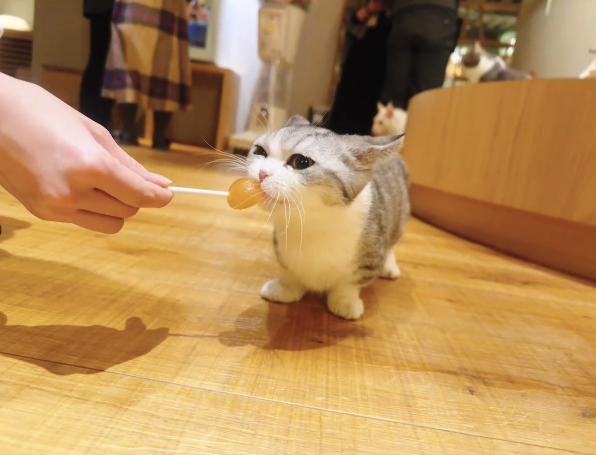 💛バグバグ💛 tweet media