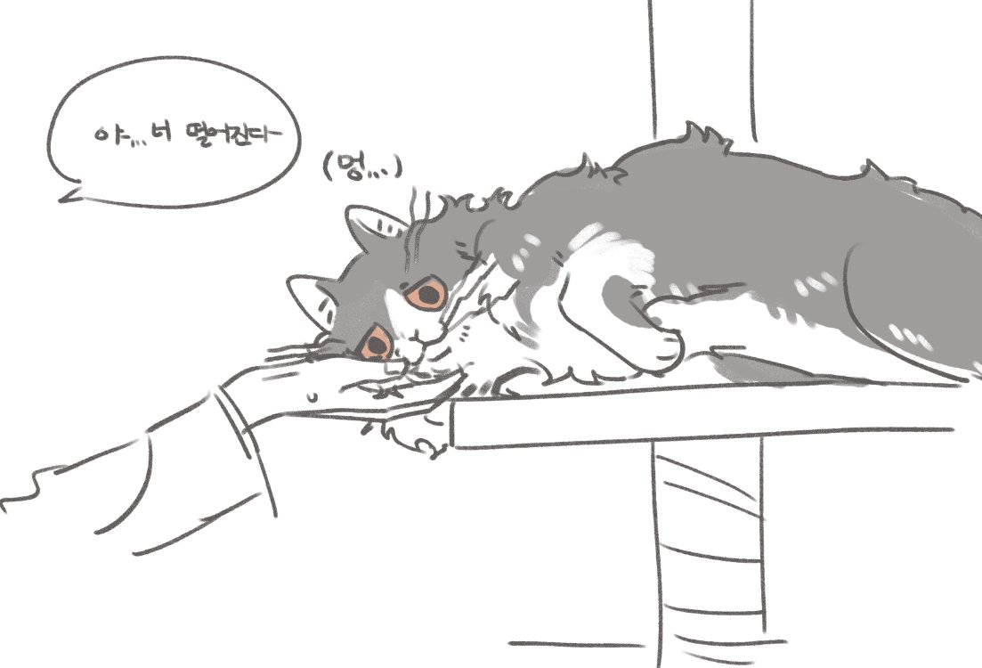 춘자 tweet media