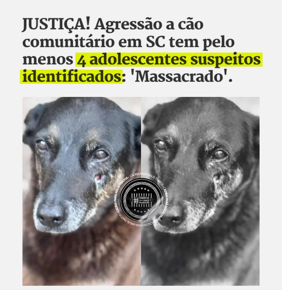 needsmthngsweet's tweet photo. Muitas pessoas estão apagando os posts provavelmente por coação
Sendo assim eu vou postar todas as informações divulgadas até agora sobre os assassinos do orelha
Famílias, empresas, acobertadores
 e as redes sociais
Engajem em tds as redes sociais possíveis
#justicapororelha https://t.co/IAceD4UYEb