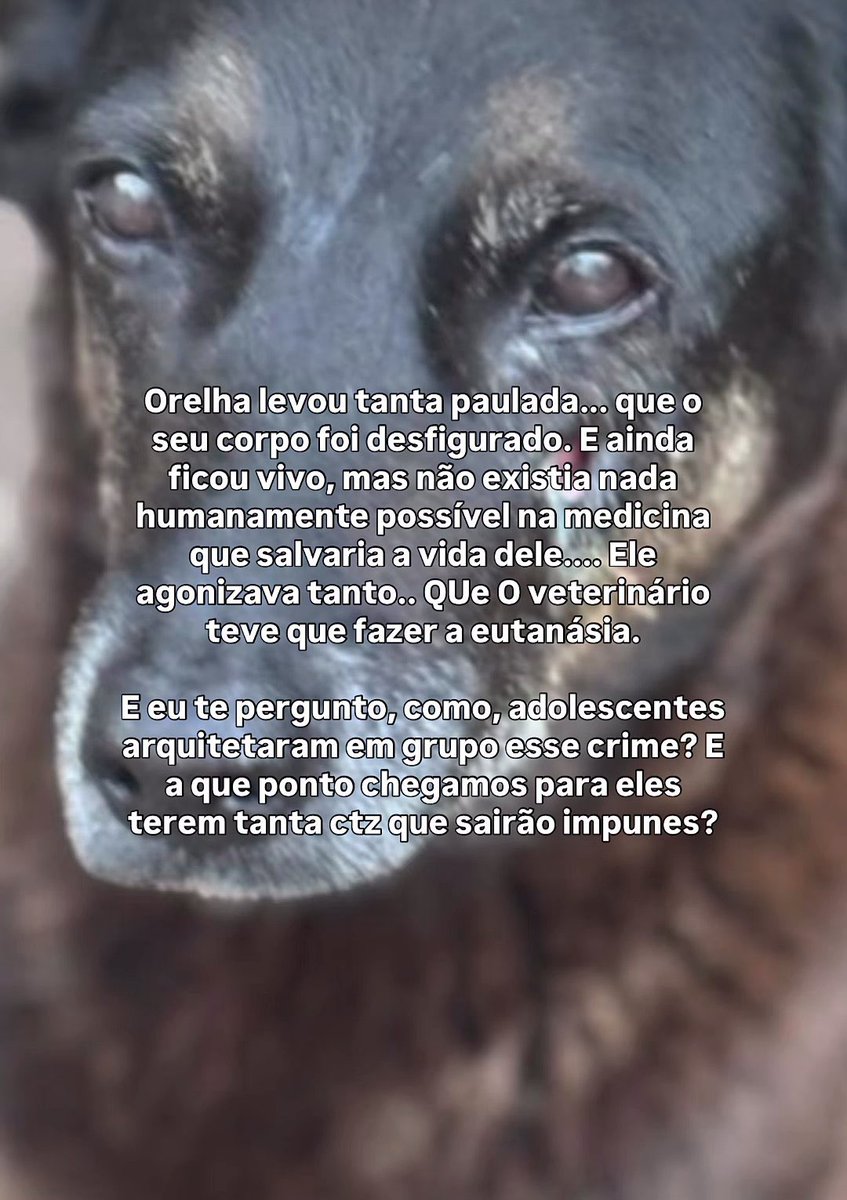 needsmthngsweet's tweet photo. Muitas pessoas estão apagando os posts provavelmente por coação
Sendo assim eu vou postar todas as informações divulgadas até agora sobre os assassinos do orelha
Famílias, empresas, acobertadores
 e as redes sociais
Engajem em tds as redes sociais possíveis
#justicapororelha https://t.co/IAceD4UYEb