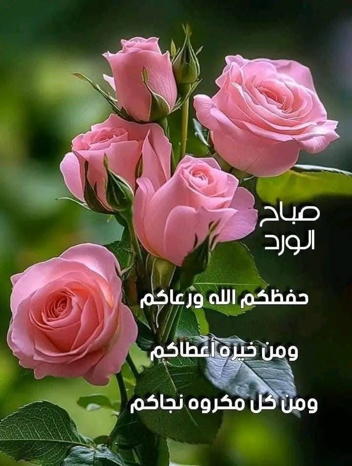 ⁧#صباحات_لولي⁩ 🌤️ 

اللهُمَّ صباحًا لنا نصيبًا من شروقه، ليشرق معه الخير والتيسير والبركة علينا، ونكون في رحابك آمنين مُطمئنين يا الله 🌸🍃

إلى اللهِ فوّضنا مع الصبح أمرَنا فارزقنا الخير بكل امورنا ...

#صباح_الخير 🌸🍃
#صباح_الاجواء_الحلوه 🌸🍃