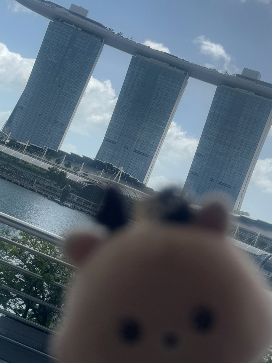 llpause99's tweet image. 빠이