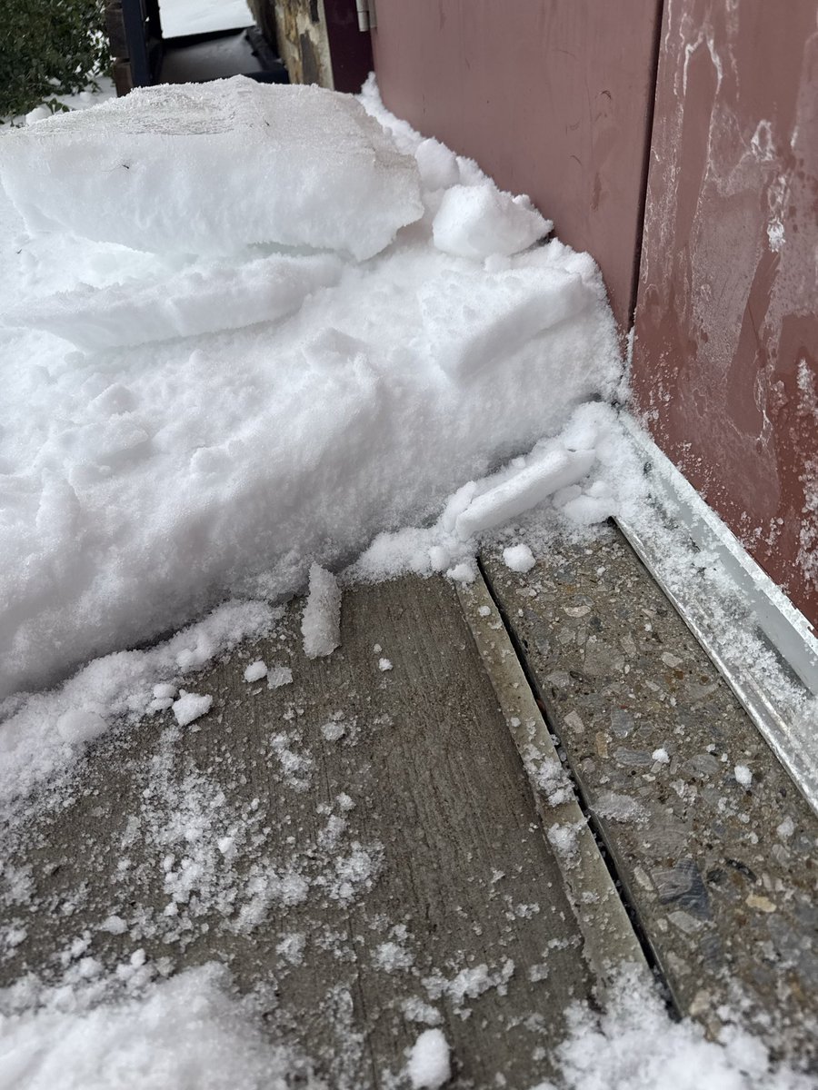 The Bad Guys tweet media