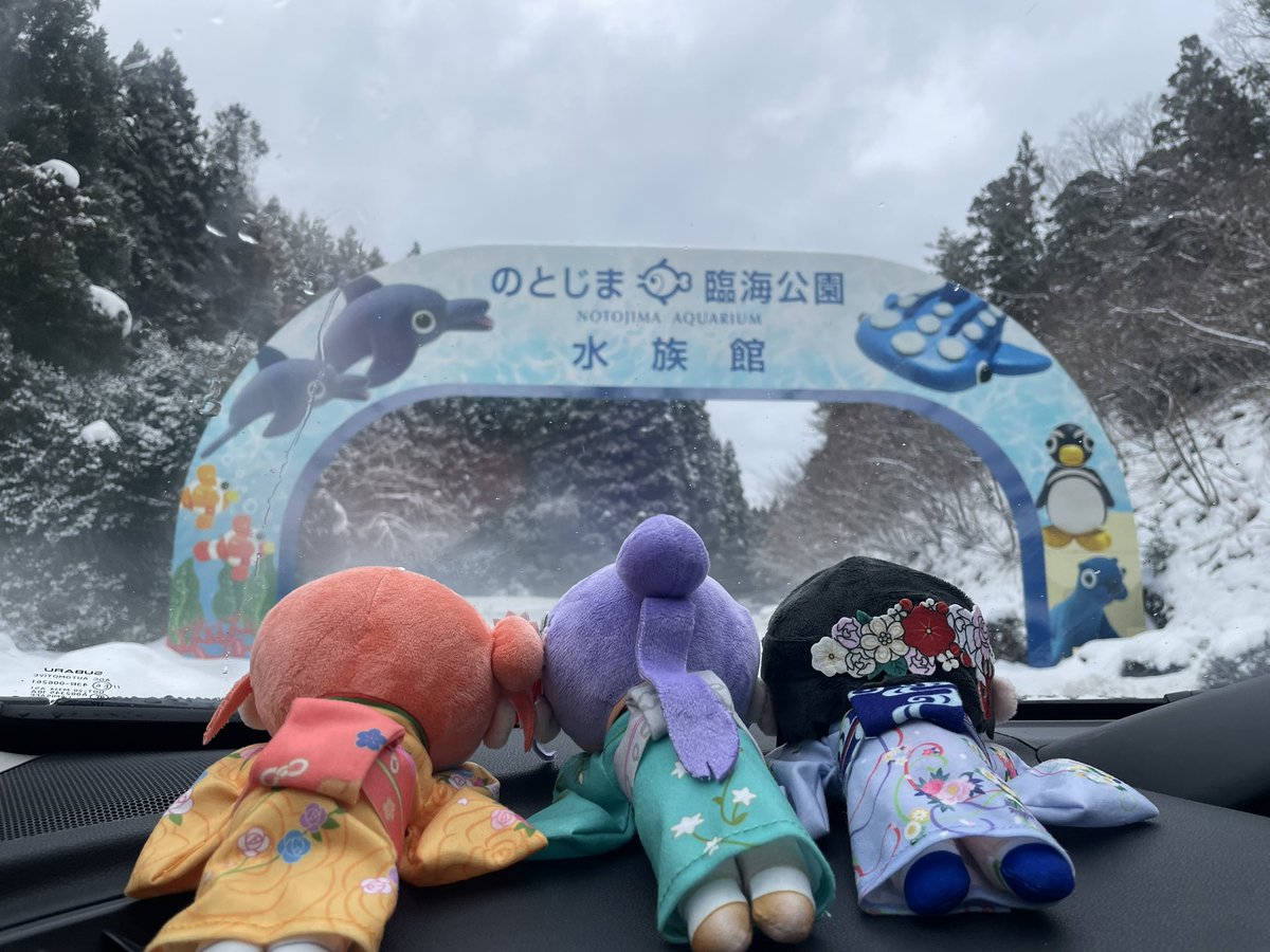 Post by いずみ on X: これは朝のやつ