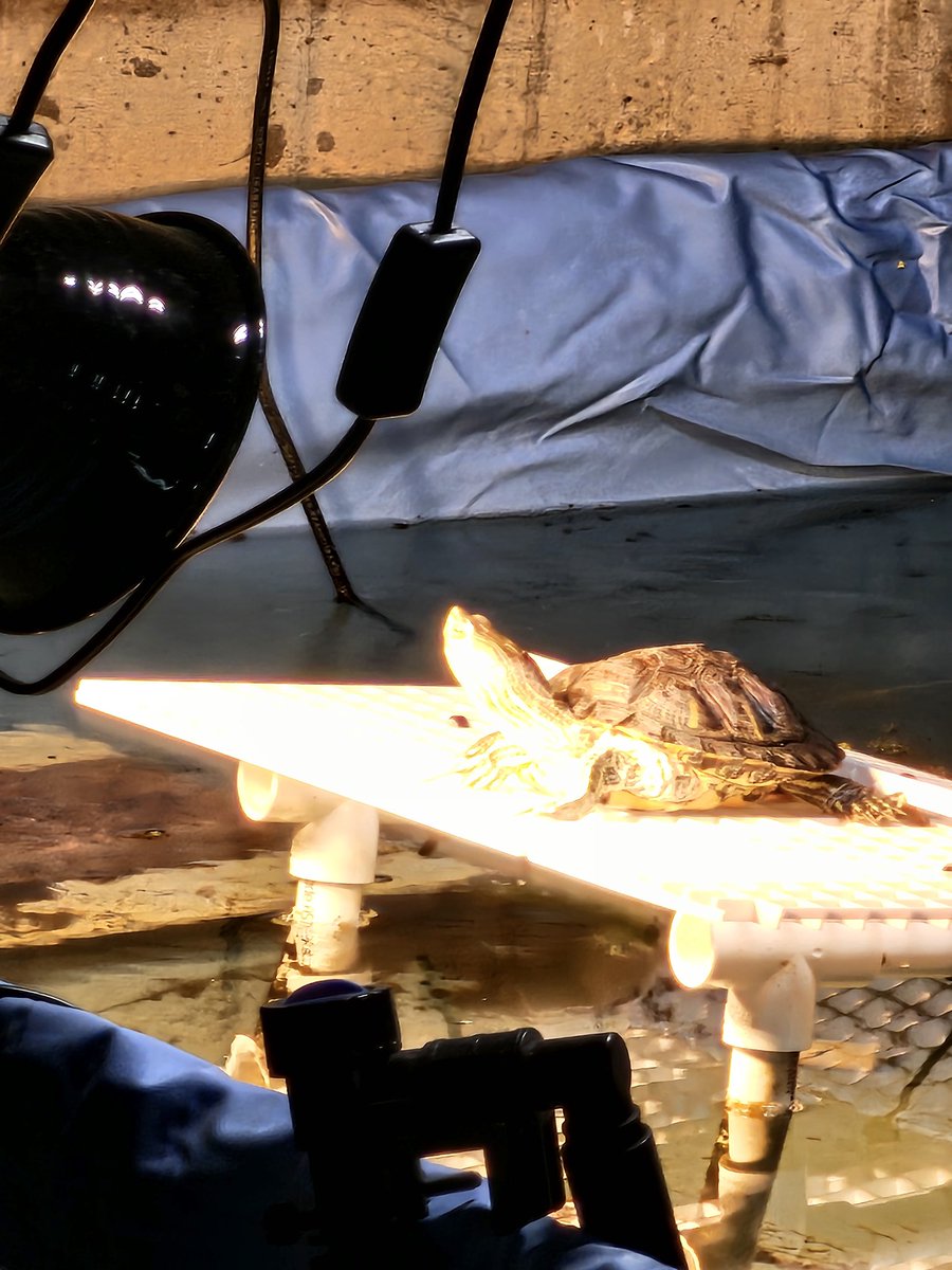 Even Harry don't like the cold.