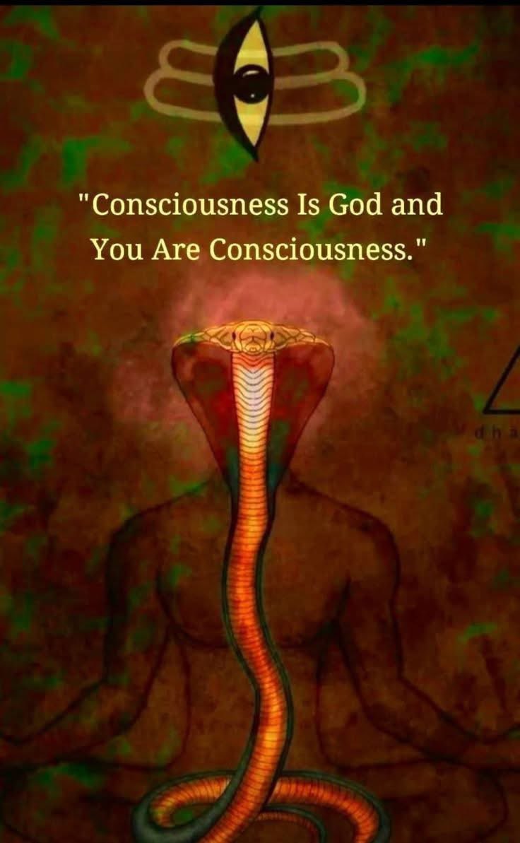 🧬Maxpein🧬 (@maximumpain333) on Twitter photo 