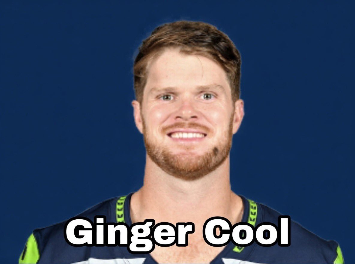 devodevine's tweet image. Ginger Cool. Let’s go Seahawks!!