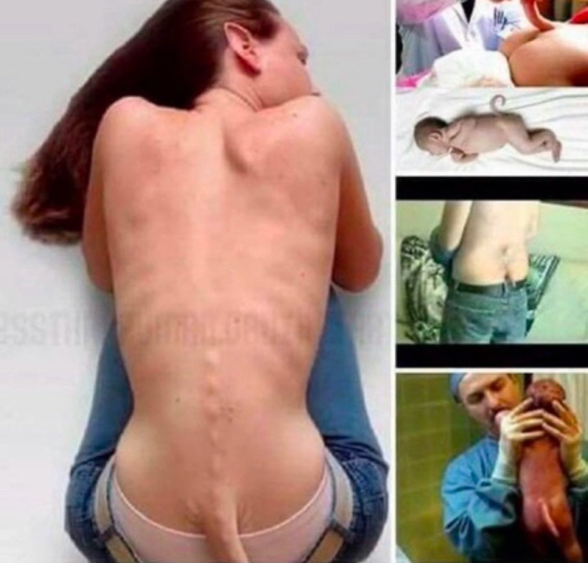 crackiehater tweet media