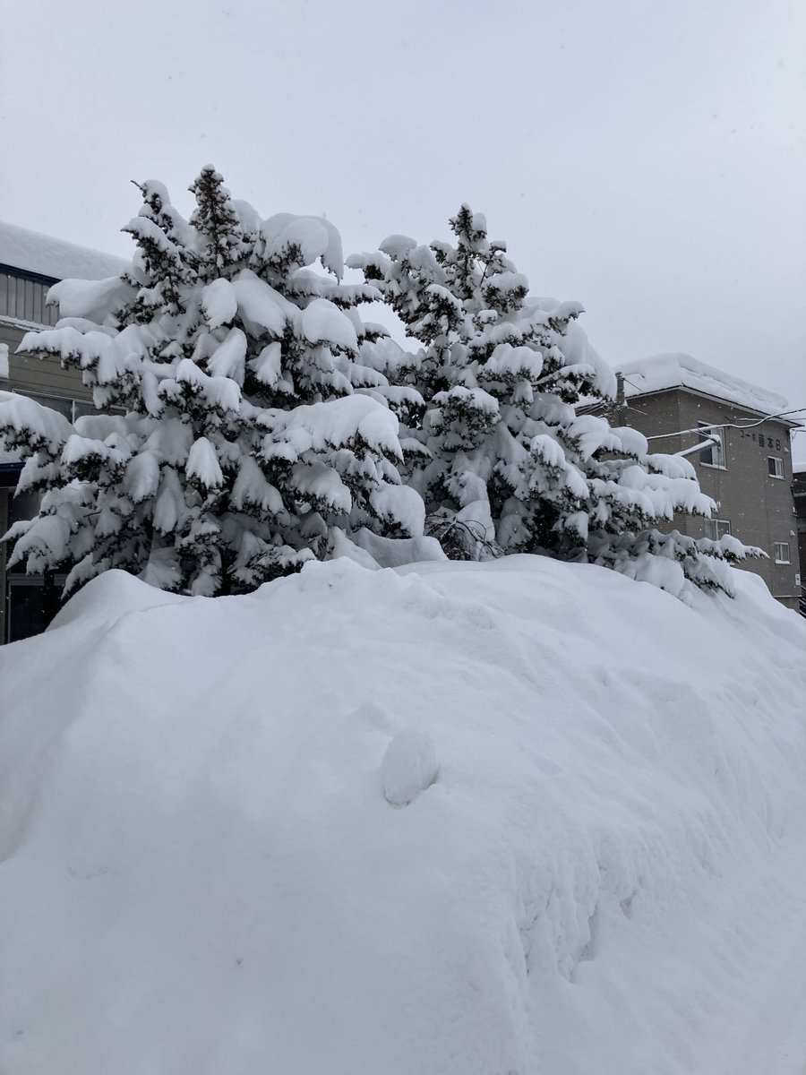 すご過ぎる☃️☃️☃️

未だしきりに降って
積雪中❄️❄️❄️

やられたね💦

それでも
仕事に出かける
人々（手段があれば）

真面目です😐

自分も来れちゃったから
その1人🤭