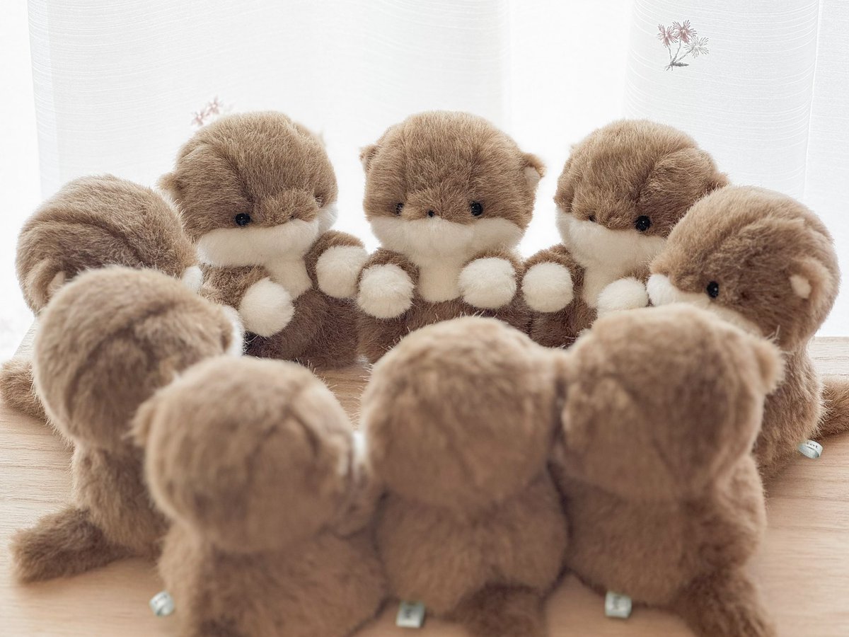 カワウソ大量発生中💭