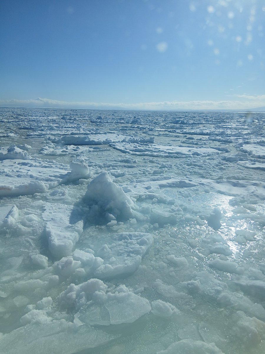 【希少】南極の石❣️値下げ¥62,000→¥60,000❣️ 希少】南極の石❣️値下げ¥62,000→¥60,000❣️ 【公式通販】