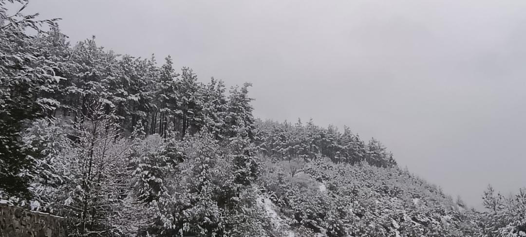 TAKİP et👈
🌅 RT yap 🔁
🌅 BEĞEN ❤️
🌅 Yoruma GT yaz 🖊️
🌅 GT yazanları takip et 👥
🌅 follow and follow back 🔃
#karyağışı
#Bayrak #BayrakNamustur
#esaretinbedeli
#günaydın