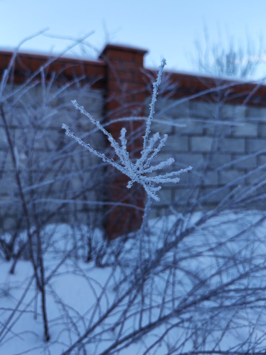 InnaEdgn's tweet image. Утро ❄☃️