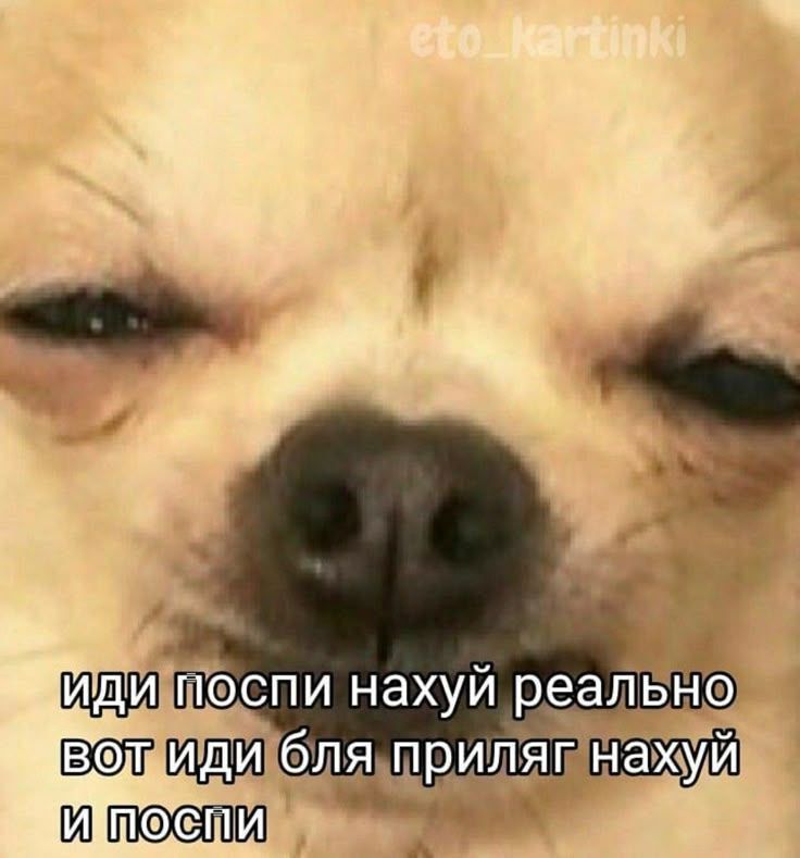 чето после новогодних каникул двух выходных оказалось маловато